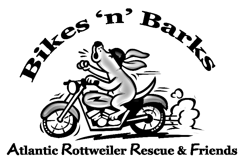 BikesNBarks