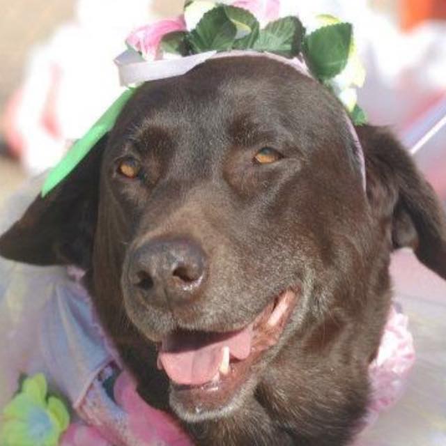 Allie Mae