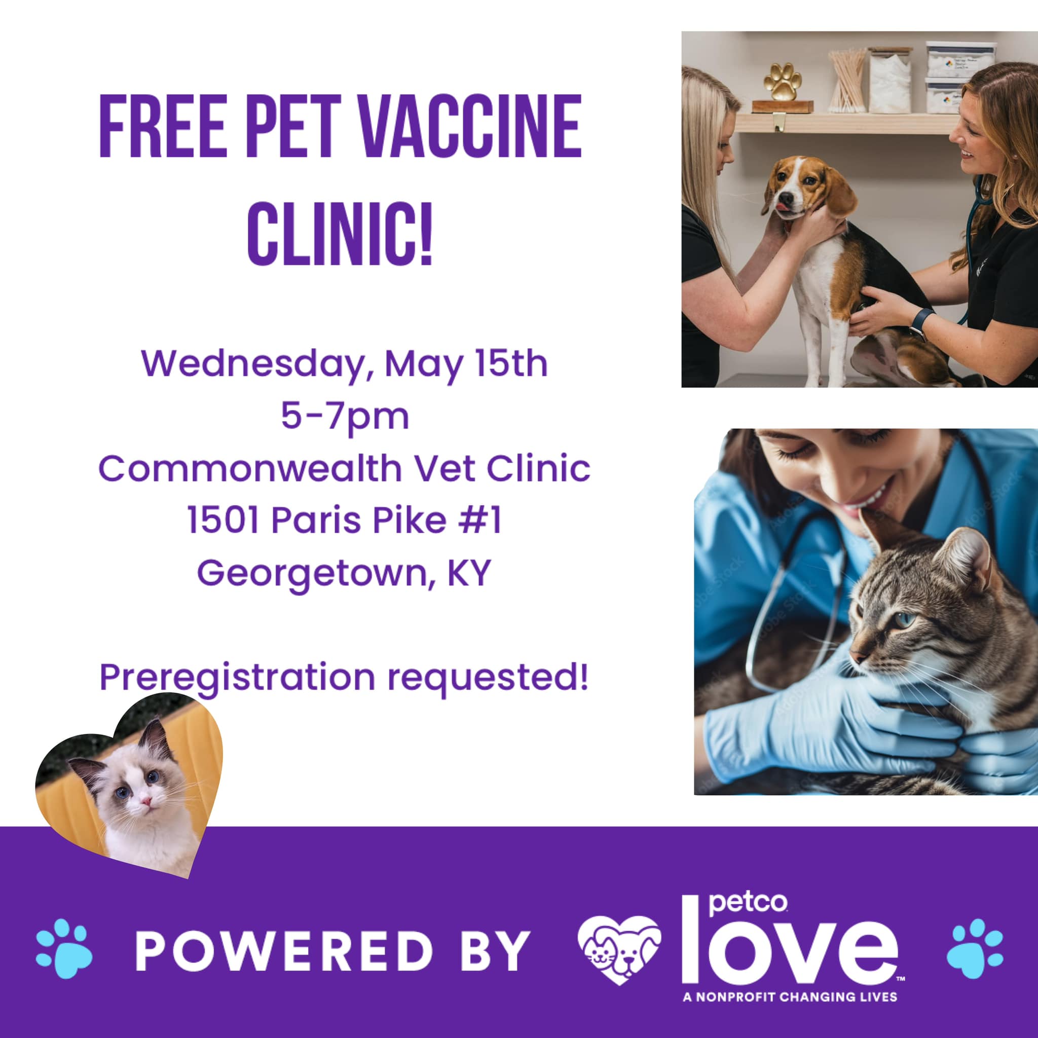 Scott County Humane Society Iowa - hkvgk5n