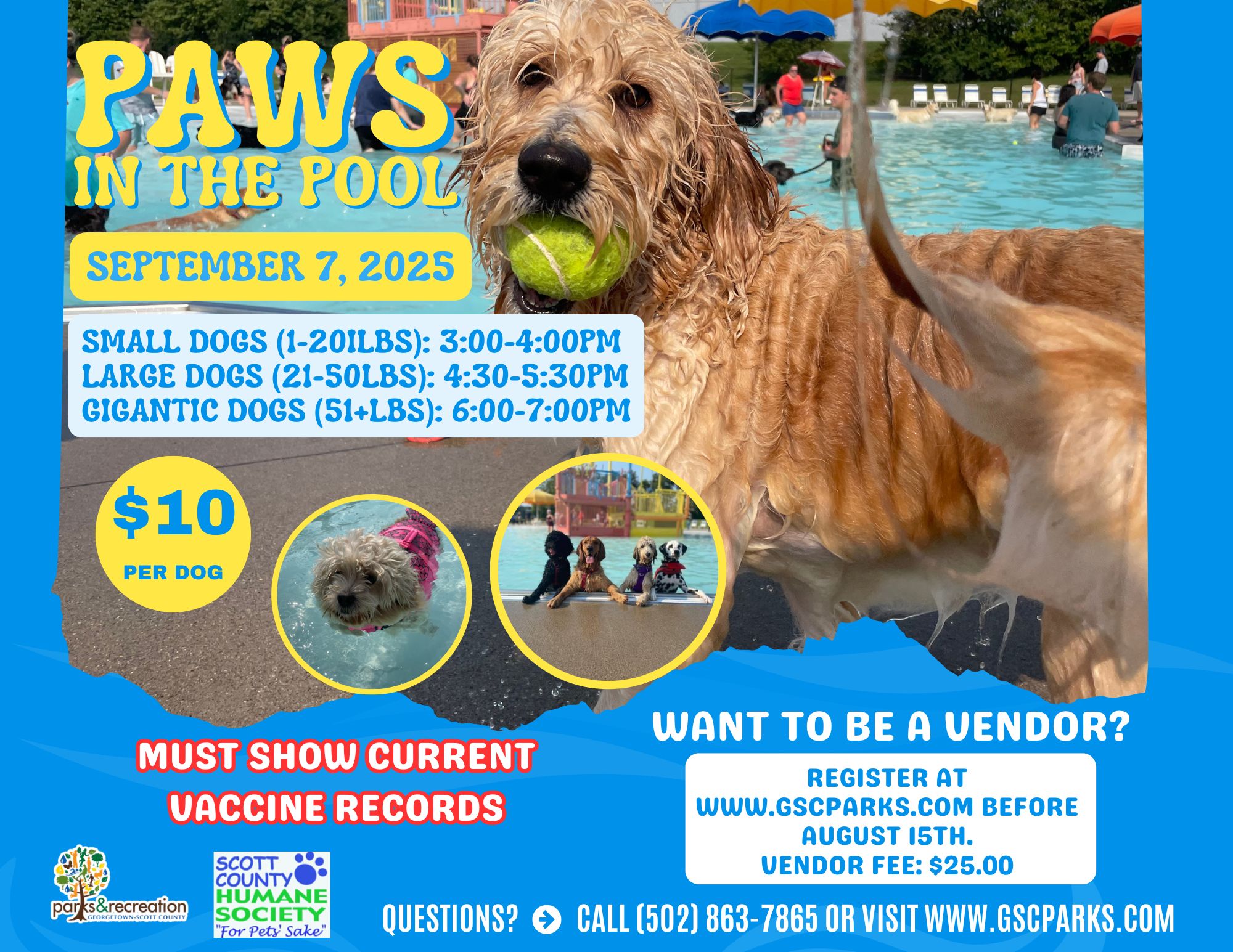 Paws in the pool 2025