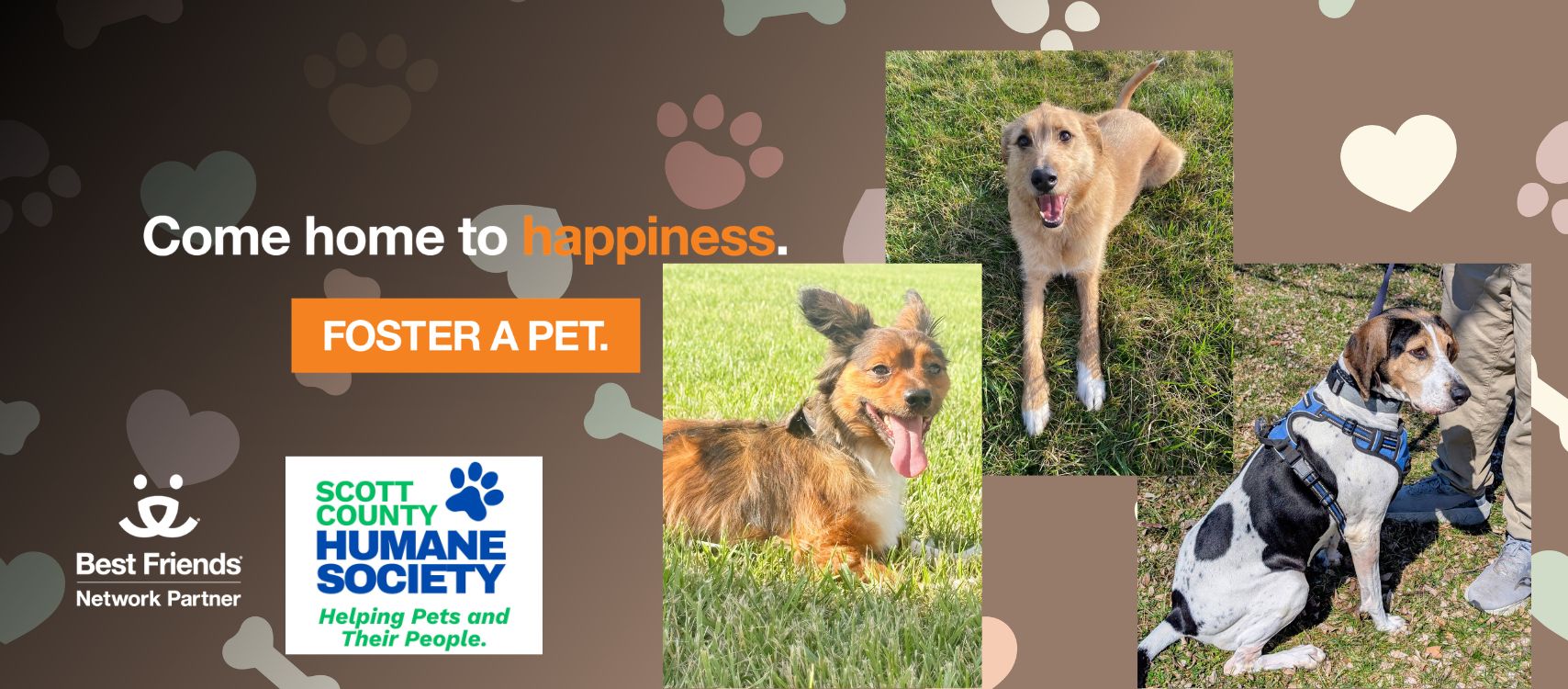best friends foster challenge