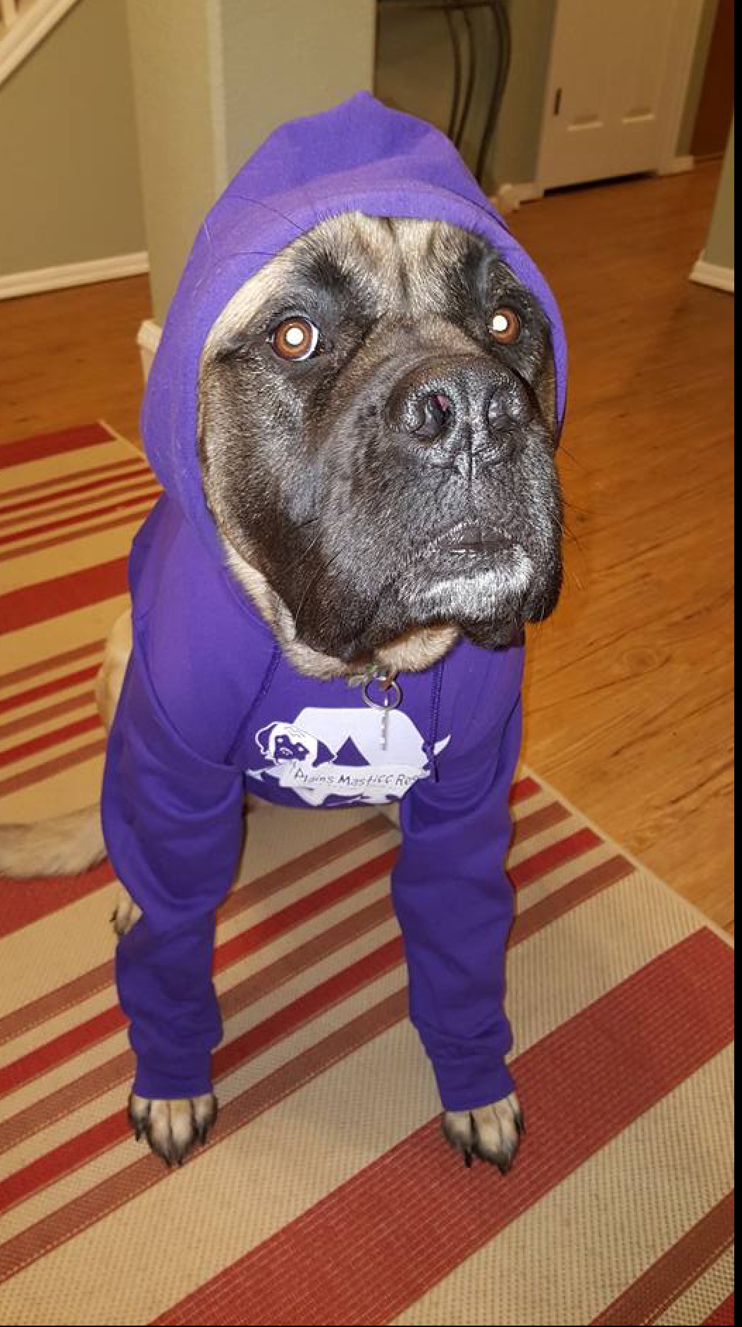 Mel purple hoodie