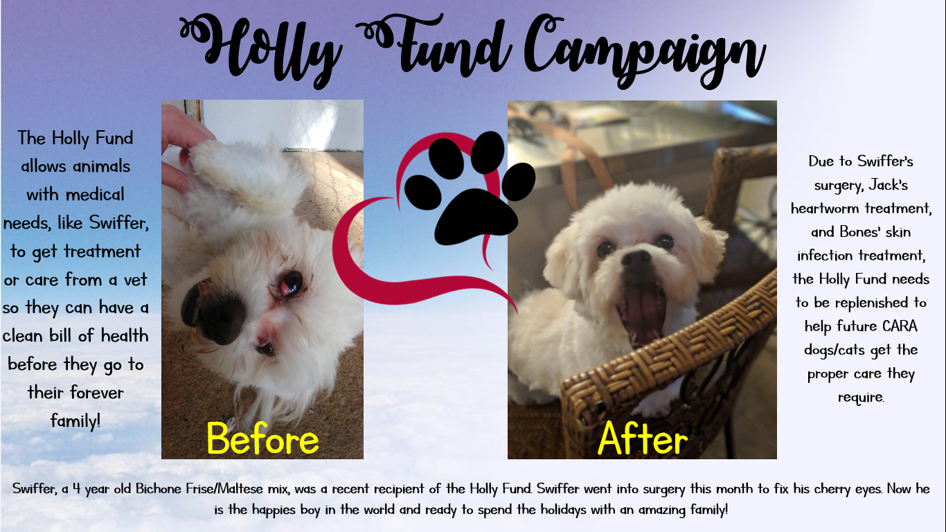 to Carolina Animal Rescue And Adoption