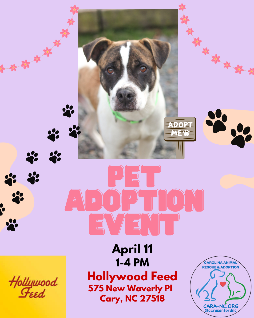 April Hollywood Feed Adoption Event