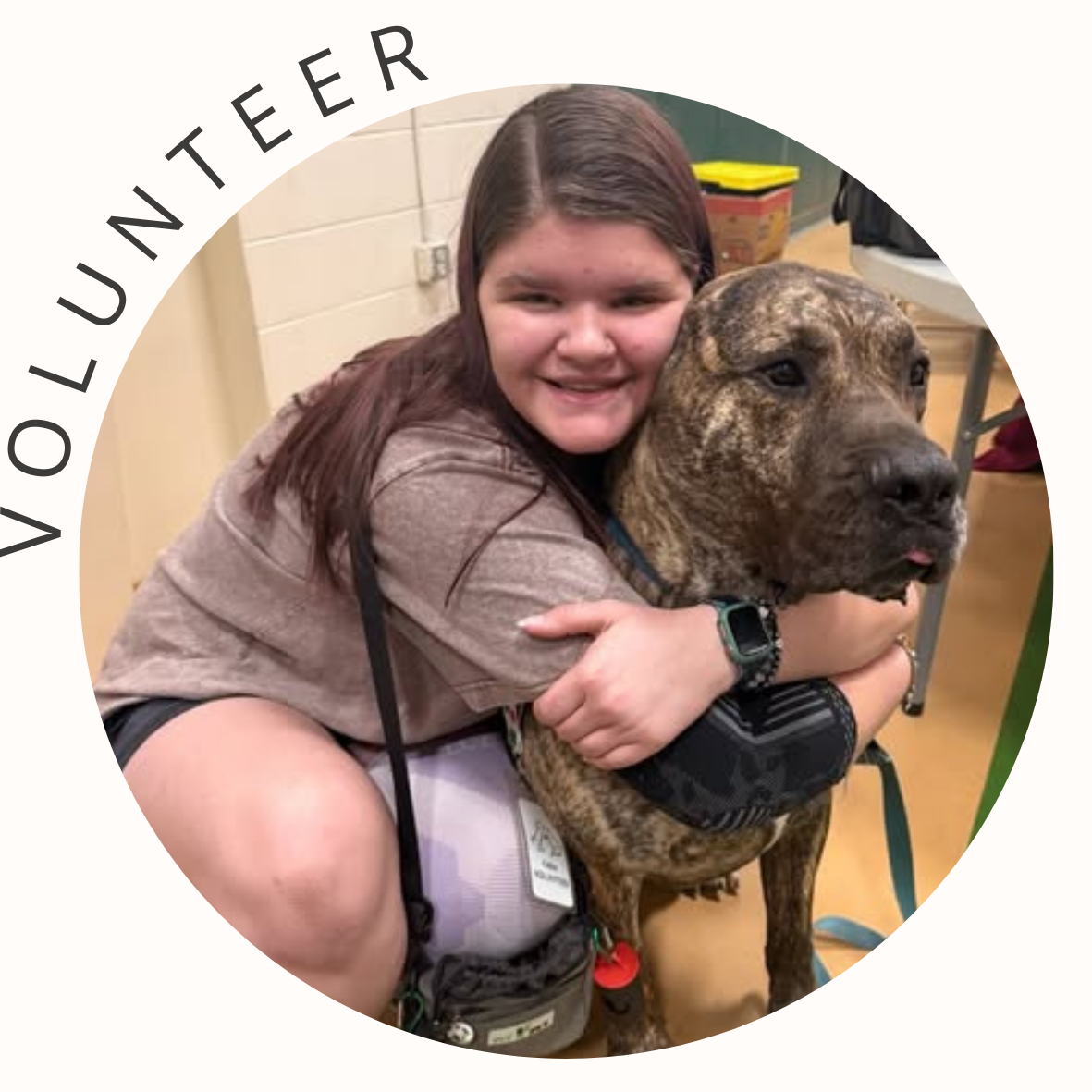 Volunteer with CARA