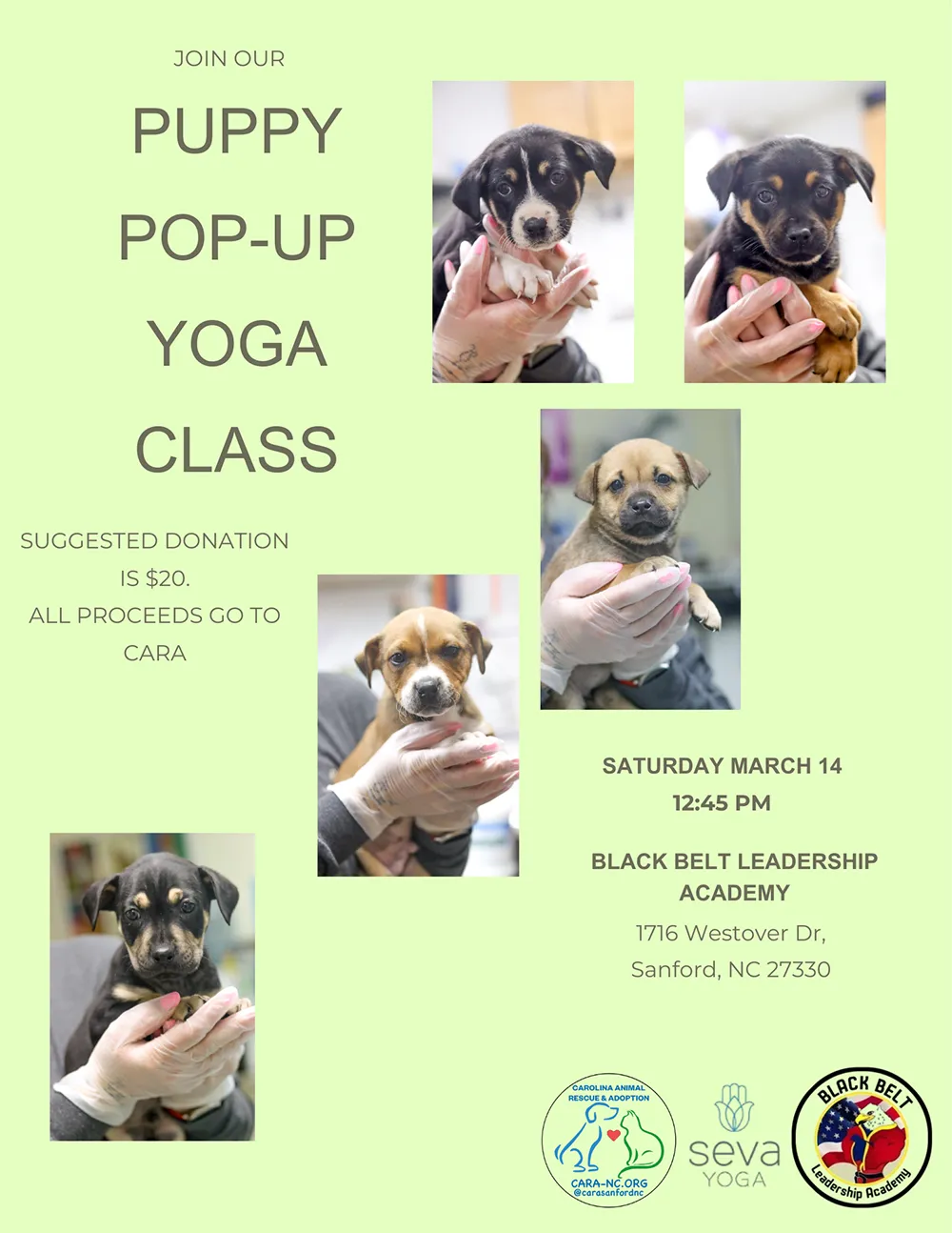 Puppy Yoga Event