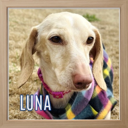 2025 FP_Luna 01 2026