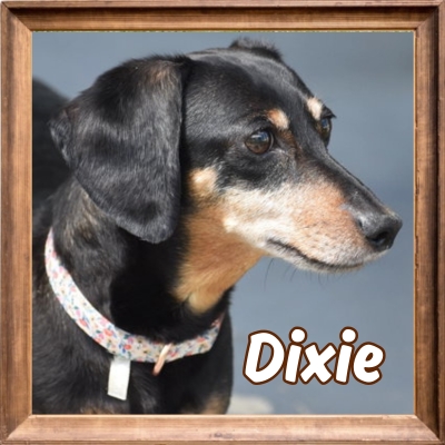 2026 FP_Dixie 4
