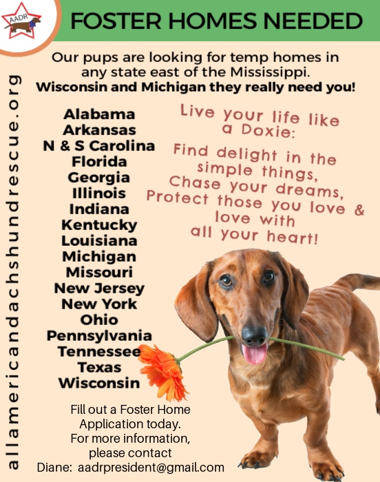 2026 Foster Homes_July