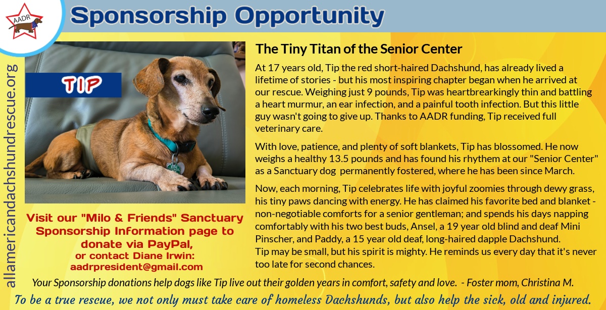 Sanctuary_Tip_2025