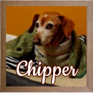 Chipper FP 3 Photo Chipper FP 3 Photo