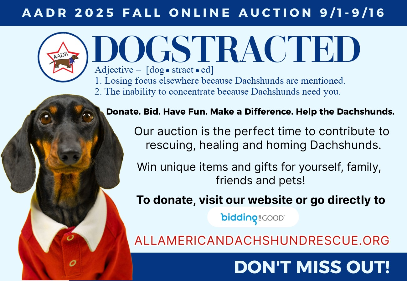 2025 Fall Auction_Closes Soon