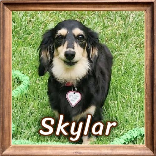 2026 FP Photo_Skylar 2