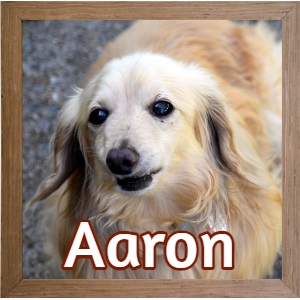 2022 FP Photo_Aaron Update 2022 FP Photo_Aaron Update