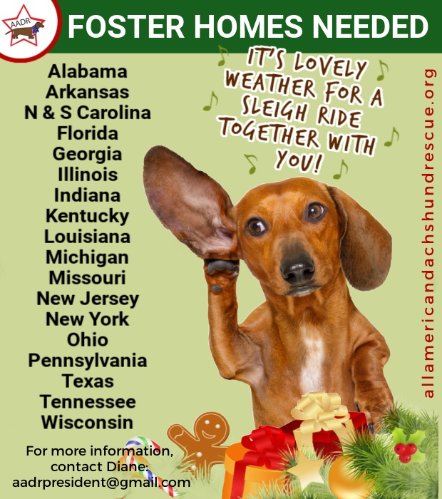 2025 FOSTER HOMES_Christmas 1