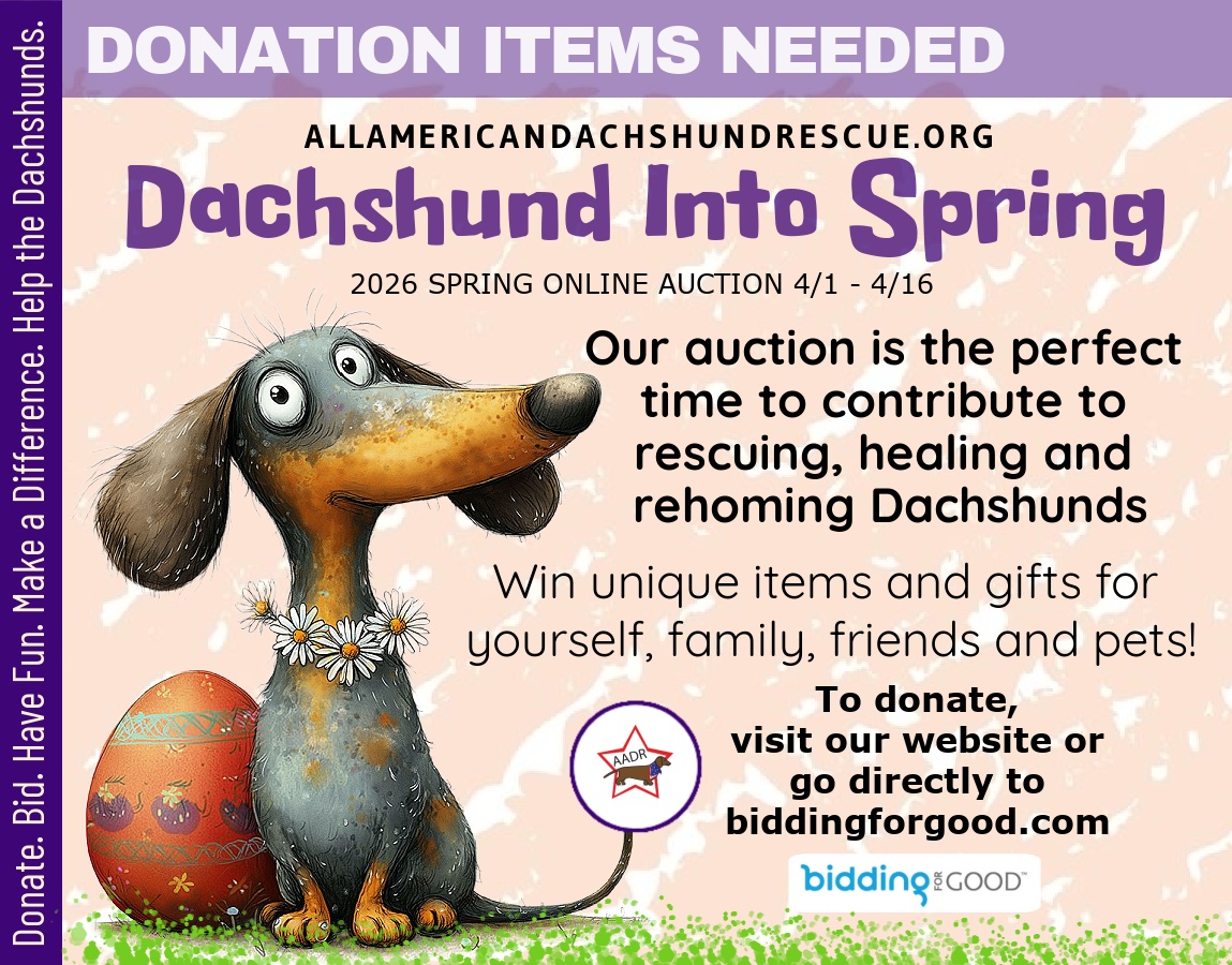 2026 Spring Auction_v 3 Donations Needed