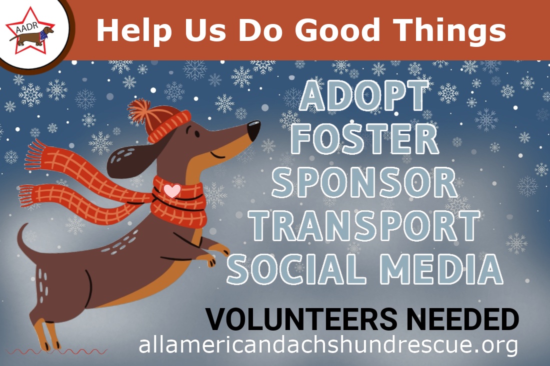 Volunteer_2025 Winter