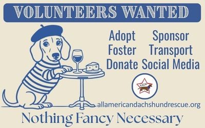 Volunteer_2026 August