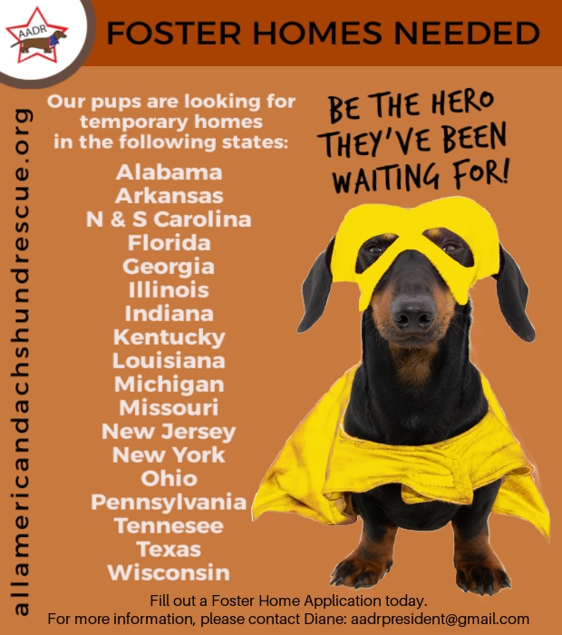 Foster Homes 2026 Hero