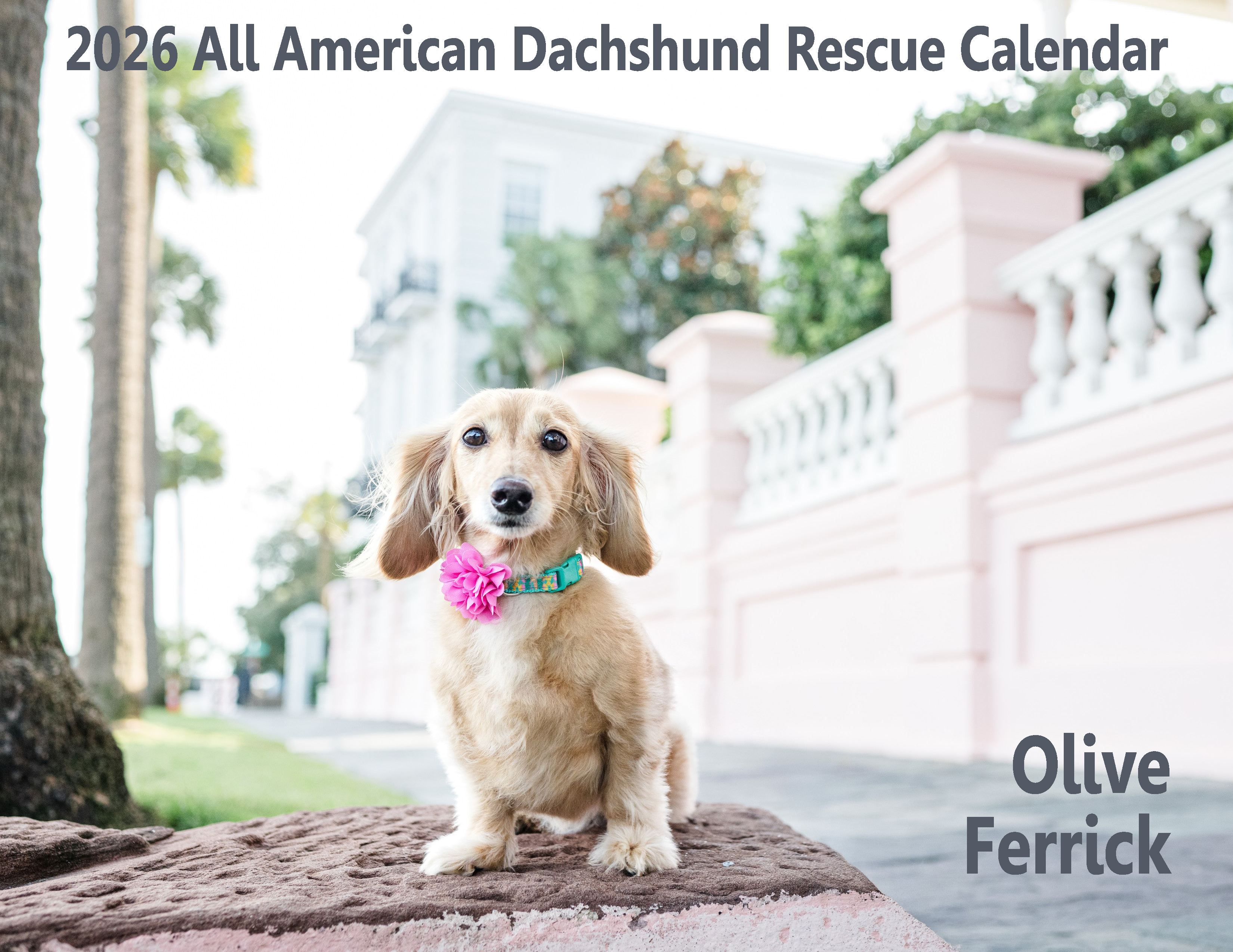 2026 Calendar Cover 2026 Calendar Cover