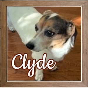 Clyde NY_FP Photo 2 Clyde NY_FP Photo 2
