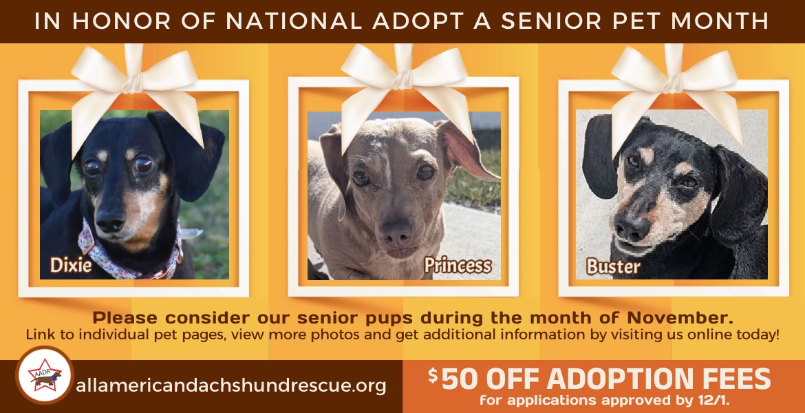 Senior Month_National November 2025