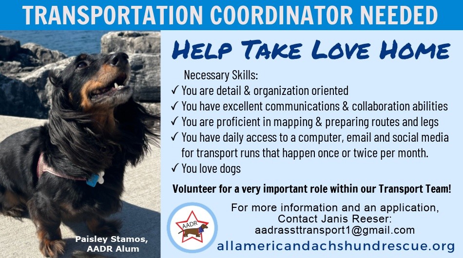 2026 Transport Coordinator