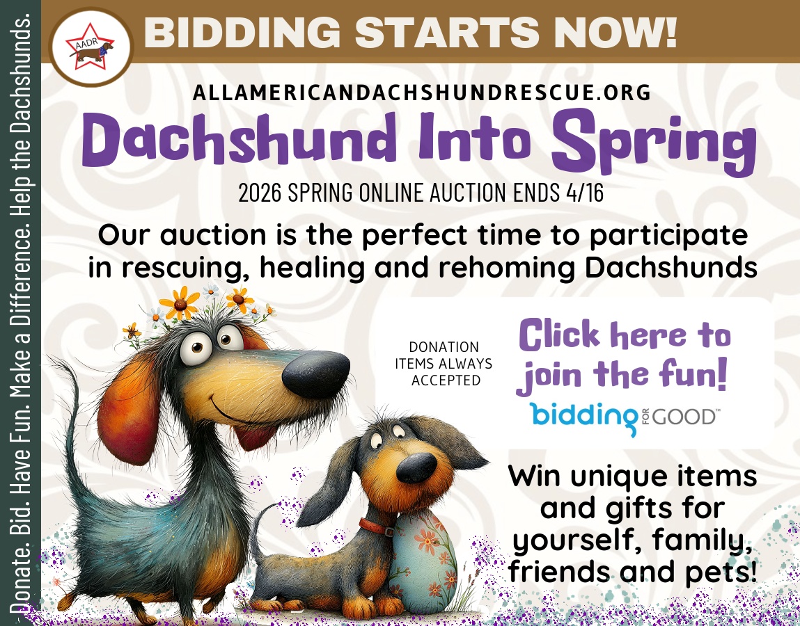 2026 Spring Auction_Starts Now