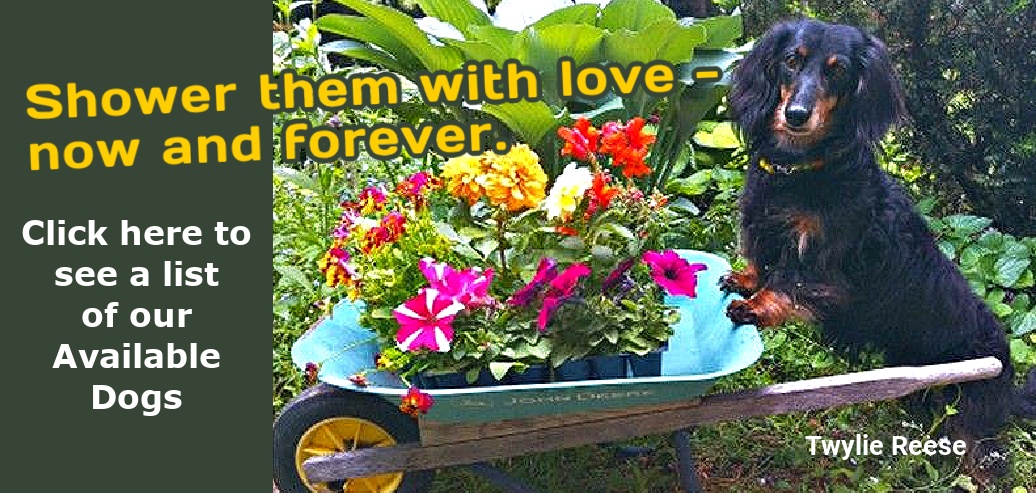 AD Page Link_Spring 2026 AD Page Link_Spring 2026