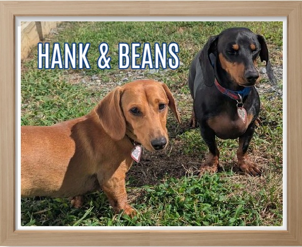 2025 FP_Hank and Beans