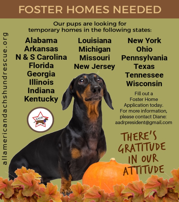 Foster Homes 2025_Thanksgiving