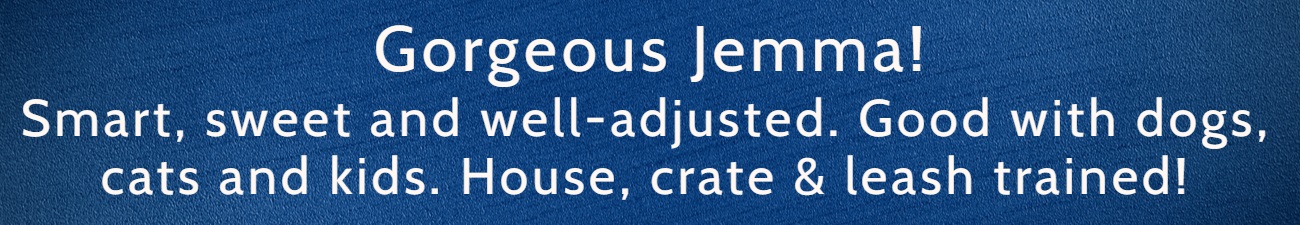 2022 FP Jemma Banner 2022 FP Jemma Banner