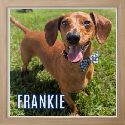2025 FP_Frankie