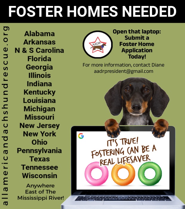Foster Homes_2026 Lifesaver