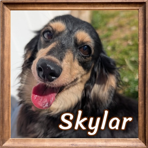 2026 FP Photo_Skylar
