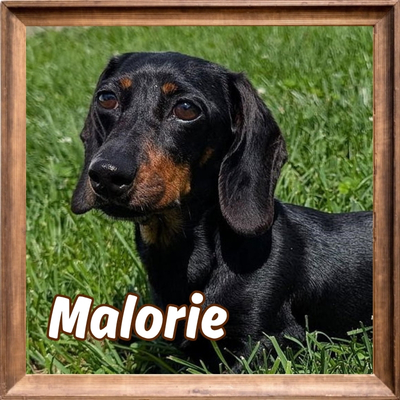 2026 FP_Malorie