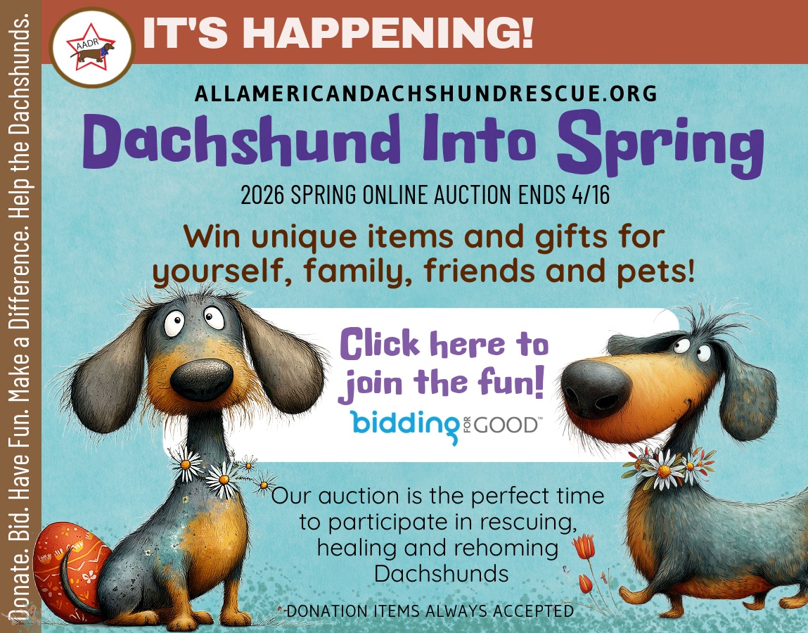 2026 Spring Auction_Happening 2026 Spring Auction_Happening