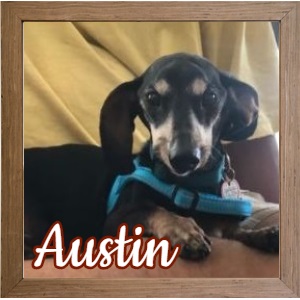 Austin FP Photo Austin FP Photo