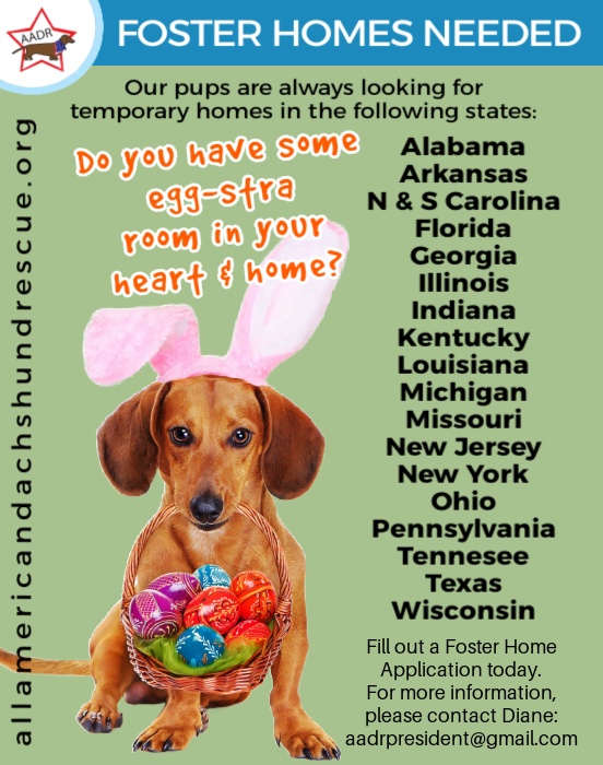 Foster Homes 2026_Eggstra