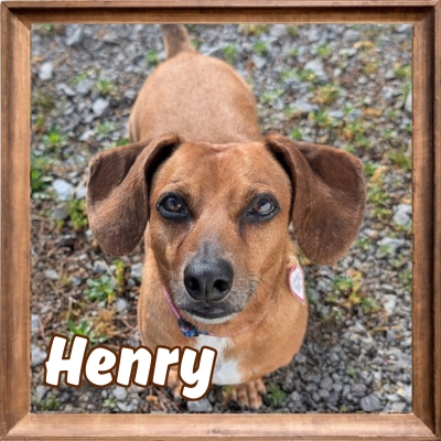 2026 FP_Henry
