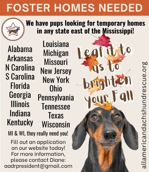 2026 Foster Homes_Septemeber
