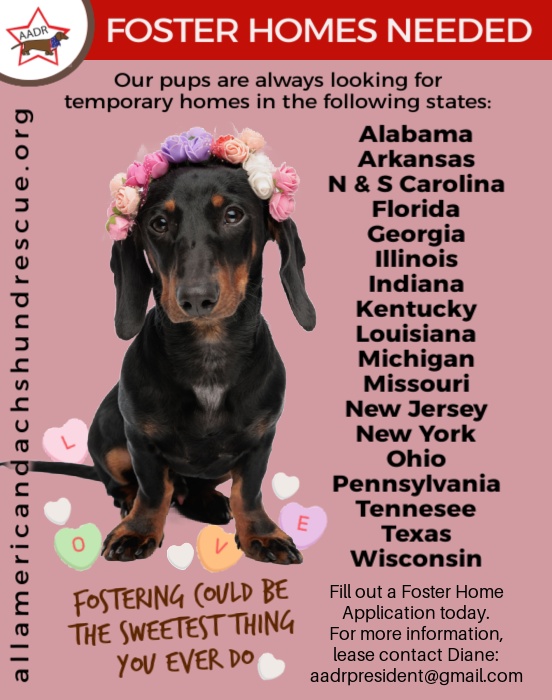 Foster Homes_2026 Valentine