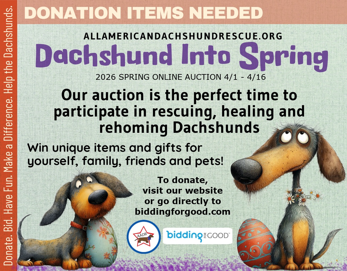 2026 Spring Auction_Donations Two