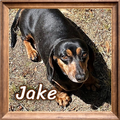 2026 FP_Jake