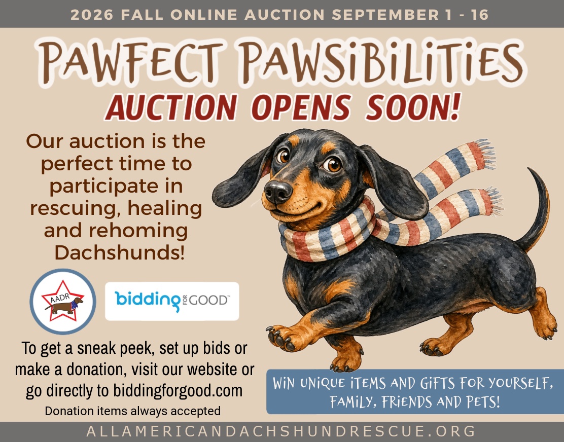 2026 Fall Auction_Opens Soon