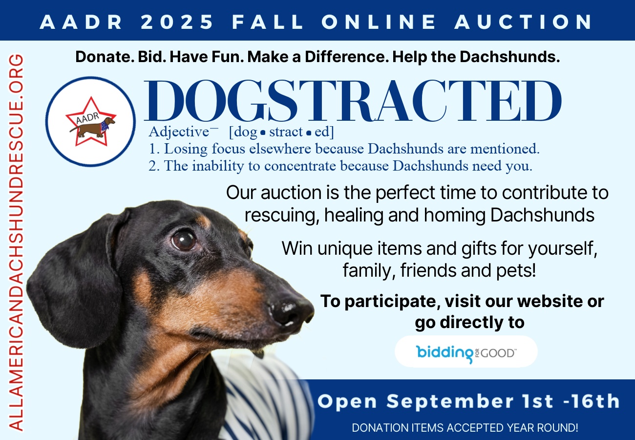 2025 AADR Fall Auction_Open 2