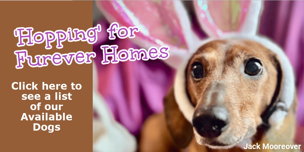 ADs Page Link_Easter