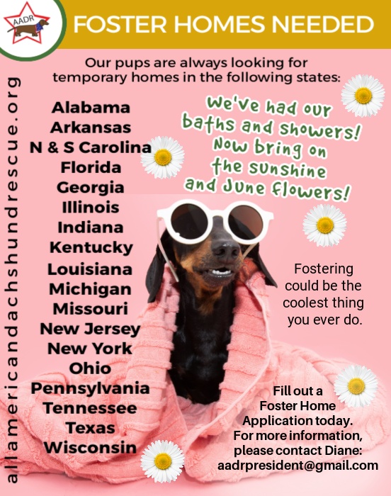 2026 Foster Homes_June v2