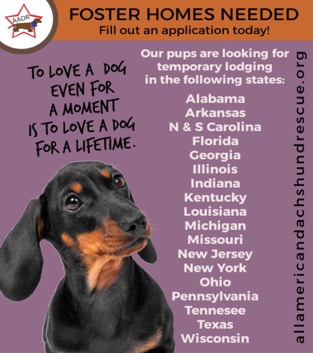 Foster Homes_2025 Love