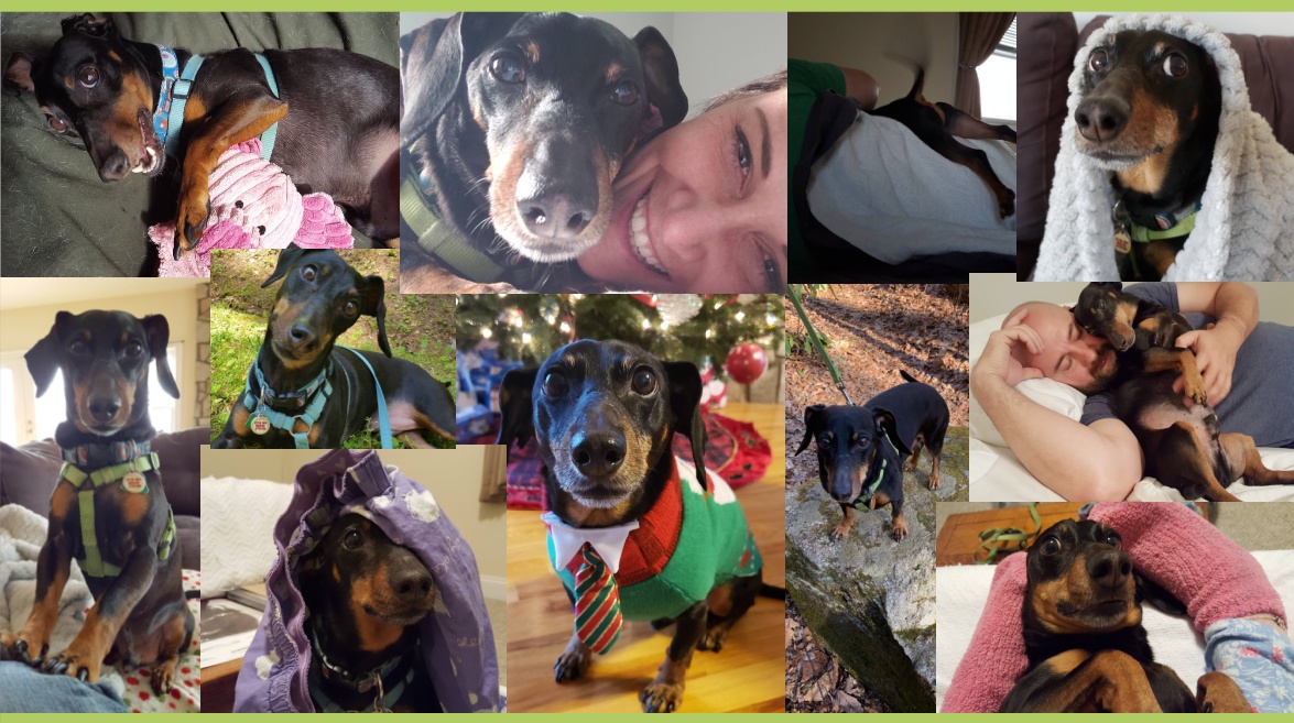 2026 In Memoriam_Bennett Rowe